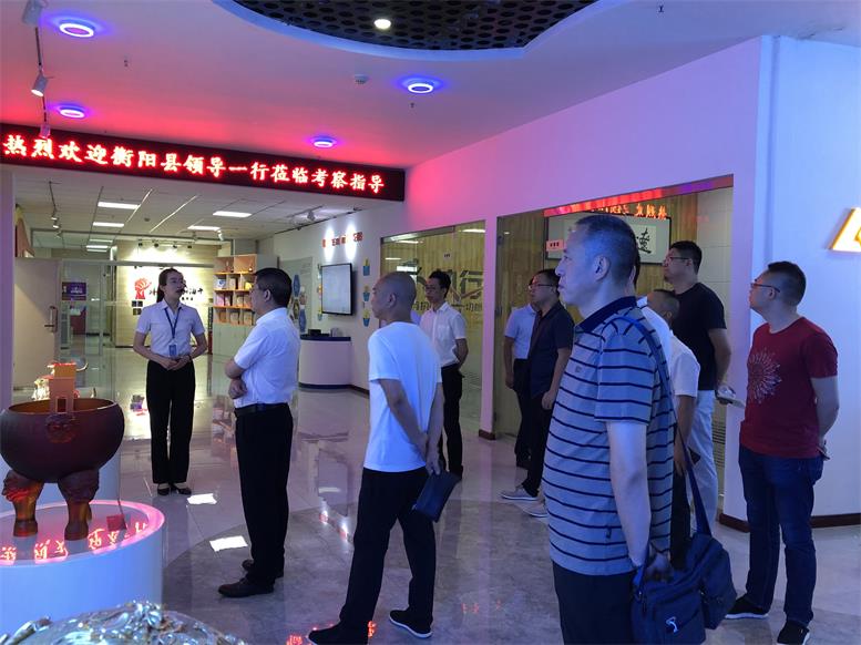 湖南省衡阳县常务副县长王苏龙一行莅临4688美高梅集团集团考察财路大数据项目